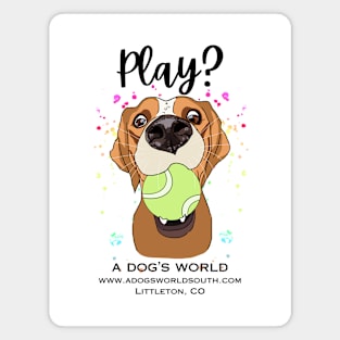 Play? (Back) - A Dog's World - Cute dog with tennis ball wants to play Magnet